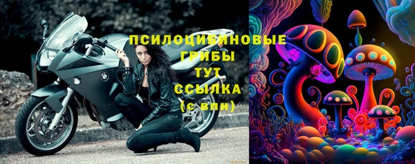 бутират Белокуриха