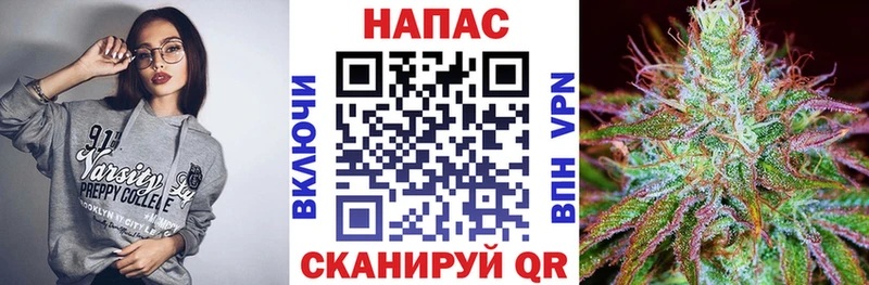 Бошки Шишки план  Мглин 